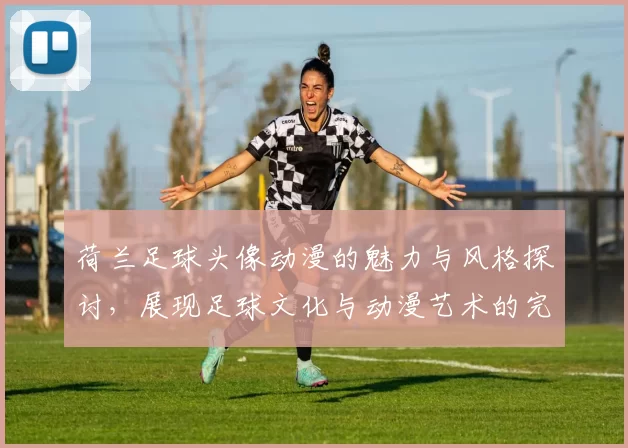 荷兰足球头像动漫的魅力与风格探讨，展现足球文化与动漫艺术的完美结合