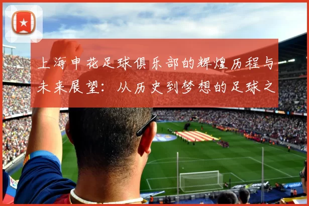 上海申花足球俱乐部的辉煌历程与未来展望：从历史到梦想的足球之旅