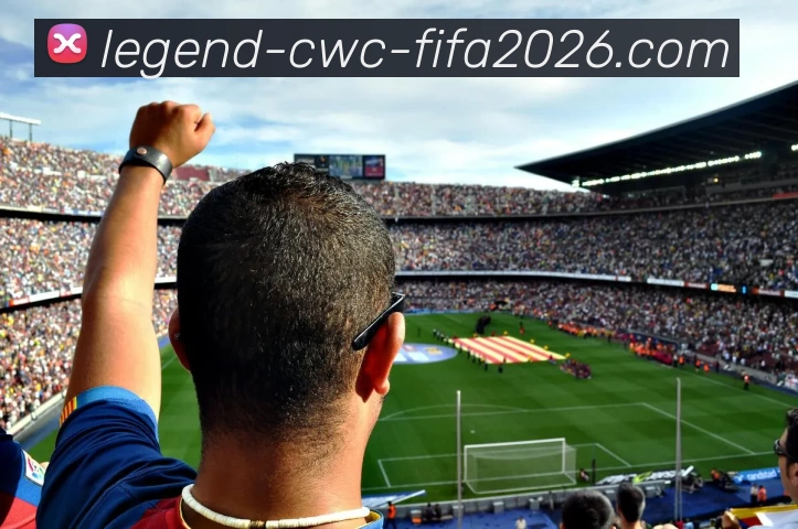 2026世界杯服务体系